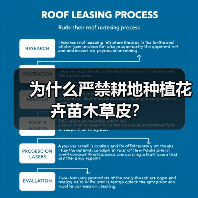 为什么严禁耕地种植花卉苗木草皮？
