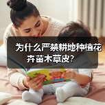 为什么严禁耕地种植花卉苗木草皮？（图4）