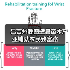 昌吉州呼图壁县苗木产业铺就农民致富路(图2) 昌吉州呼图壁县苗木产业铺就农民致富路(图2)