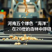 河南五个绿色“海洋”,在20度的森林中呼吸,让你流连忘返(图1) 河南五个绿色“海洋”,在20度的森林中呼吸,让你流连忘返(图1)