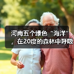 河南五个绿色“海洋”,在20度的森林中呼吸,让你流连忘返(图2) 河南五个绿色“海洋”,在20度的森林中呼吸,让你流连忘返(图2)