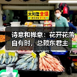 诗意和禅意：花开花落自有时，总赖东君主（图2）