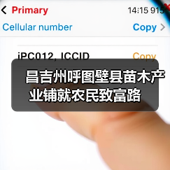 昌吉州呼图壁县苗木产业铺就农民致富路(图4) 昌吉州呼图壁县苗木产业铺就农民致富路(图4)