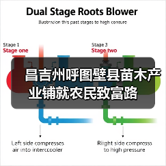 昌吉州呼图壁县苗木产业铺就农民致富路(图3) 昌吉州呼图壁县苗木产业铺就农民致富路(图3)