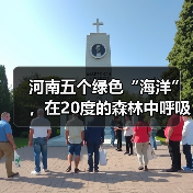 河南五个绿色“海洋”,在20度的森林中呼吸,让你流连忘返(图3) 河南五个绿色“海洋”,在20度的森林中呼吸,让你流连忘返(图3)