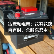 诗意和禅意：花开花落自有时，总赖东君主（图4）