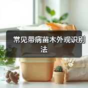 常见带病苗木外观识别法(图1) 常见带病苗木外观识别法(图1)