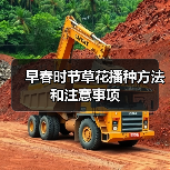 早春时节草花播种方法和注意事项