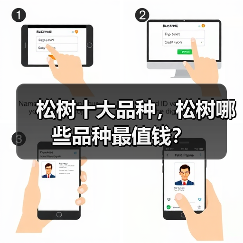 松树十大品种，松树哪些品种最值钱？