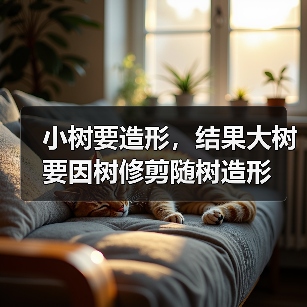 小树要造形，结果大树要因树修剪随树造形