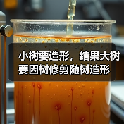 小树要造形，结果大树要因树修剪随树造形（图4）