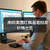 南阳美国红枫基地批发价格出售(图1) 南阳美国红枫基地批发价格出售(图1)