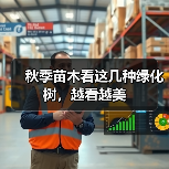 秋季苗木看这几种绿化树,越看越美(图4) 秋季苗木看这几种绿化树,越看越美(图4)
