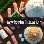 苗木的树形怎么区分？（图2）