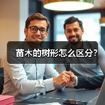 苗木的树形怎么区分？（图1）