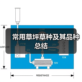 常用草坪草种及其品种总结