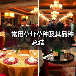 常用草坪草种及其品种总结（图2）