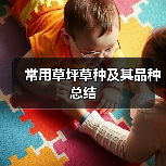 常用草坪草种及其品种总结（图3）