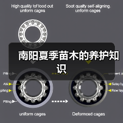 南阳夏季苗木的养护知识（图3）