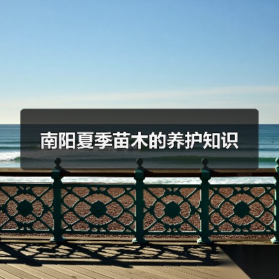 南阳夏季苗木的养护知识（图2）