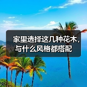 家里选择这几种花木，与什么风格都搭配