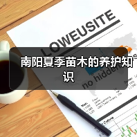 南阳夏季苗木的养护知识