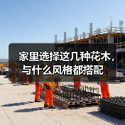 家里选择这几种花木，与什么风格都搭配（图4）