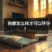 狗要怎么样才可以怀孕？