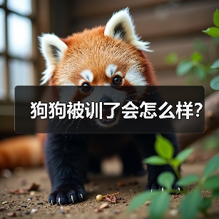 狗狗被训了会怎么样？