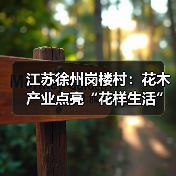 江苏徐州岗楼村：花木产业点亮“花样生活”（图3）