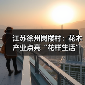 江苏徐州岗楼村：花木产业点亮“花样生活”（图4）
