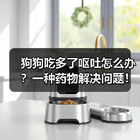 狗狗吃多了呕吐怎么办？一种药物解决问题！（救急！治疗狗狗呕吐的利器即将揭晓！）（图2）