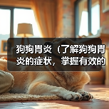 狗狗胃炎（了解狗狗胃炎的症状，掌握有效的治疗方法和预防措施）