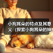 小狗耳朵的特点及其意义(探索小狗耳朵的神奇之处)(图2) 小狗耳朵的特点及其意义(探索小狗耳朵的神奇之处)(图2)