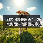 狗为何总是甩头?(探究狗甩头的原因与意义)(图1) 狗为何总是甩头?(探究狗甩头的原因与意义)(图1)