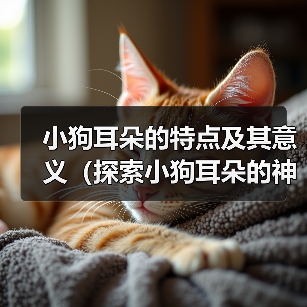 小狗耳朵的特点及其意义(探索小狗耳朵的神奇之处)(图1) 小狗耳朵的特点及其意义(探索小狗耳朵的神奇之处)(图1)