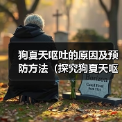 狗夏天呕吐的原因及预防方法(探究狗夏天呕吐的原因,帮助狗主预防问题)(图2) 狗夏天呕吐的原因及预防方法(探究狗夏天呕吐的原因,帮助狗主预防问题)(图2)