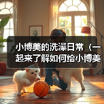 小博美的洗澡日常（一起来了解如何给小博美洗澡吧！）