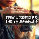 狗狗的犬瘟晚期症状及护理（掌握犬瘟晚期症状，为宠物提供及时救治）（图2）
