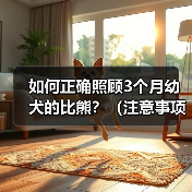 如何正确照顾3个月幼犬的比熊？（注意事项和关键提示，助你成为贴心的幼犬主人）（图4）