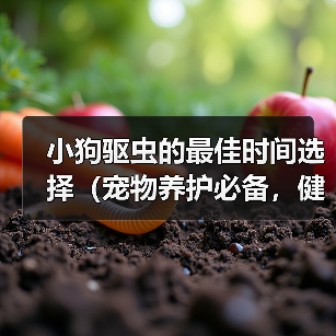小狗驱虫的最佳时间选择（宠物养护必备，健康从小开始）
