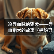 追寻血脉的猎犬——寻血猎犬的故事(揭秘寻血猎犬的神奇追踪本能)(图2) 追寻血脉的猎犬——寻血猎犬的故事(揭秘寻血猎犬的神奇追踪本能)(图2)