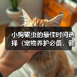 小狗驱虫的最佳时间选择（宠物养护必备，健康从小开始）（图4）