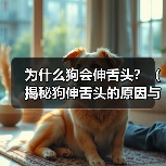 为什么狗会伸舌头?(揭秘狗伸舌头的原因与功能)(图4) 为什么狗会伸舌头?(揭秘狗伸舌头的原因与功能)(图4)