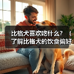比格犬喜欢吃什么?(了解比格犬的饮食偏好与需求)(图4) 比格犬喜欢吃什么?(了解比格犬的饮食偏好与需求)(图4)