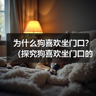 为什么狗喜欢坐门口？（探究狗喜欢坐门口的原因及其背后的心理需求）（图2）