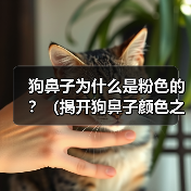 狗鼻子为什么是粉色的？（揭开狗鼻子颜色之谜）（图3）