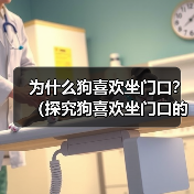 为什么狗喜欢坐门口？（探究狗喜欢坐门口的原因及其背后的心理需求）（图4）