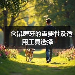 仓鼠磨牙的重要性及适用工具选择(图1) 仓鼠磨牙的重要性及适用工具选择(图1)