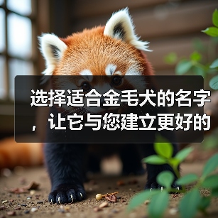 选择适合金毛犬的名字，让它与您建立更好的关系（以金毛犬为主题的名字如何选择？）（图3）